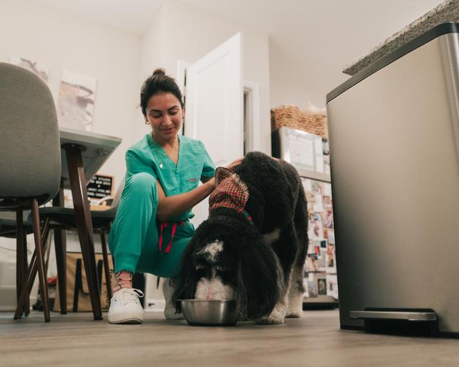 A veterinarian and dog owner reviewing a dog supplement label together
