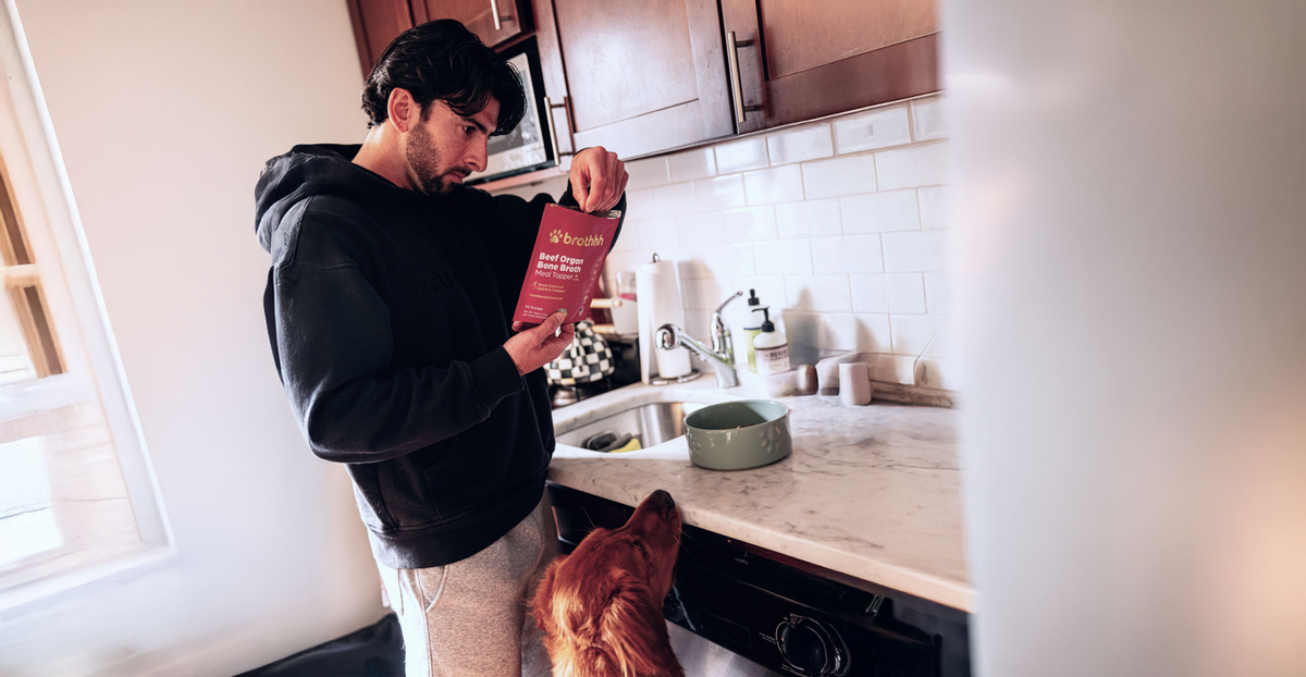 How to Read Dog Food Labels: A Guide to Choosing Quality Nutrition