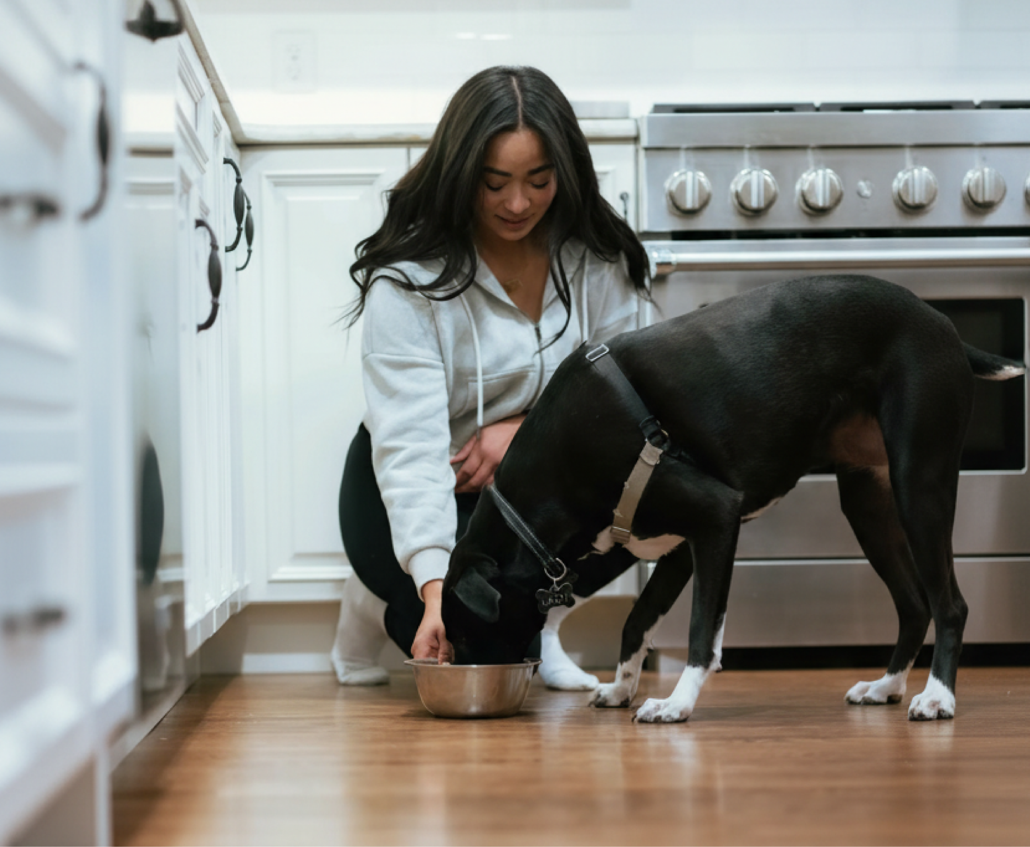 Woman serving a meal to a black dog in a kitchen.