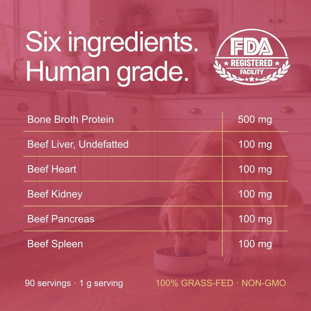 Beef Organ Bone Broth Meal Topper - 100% Grass-Fed - for Dogs