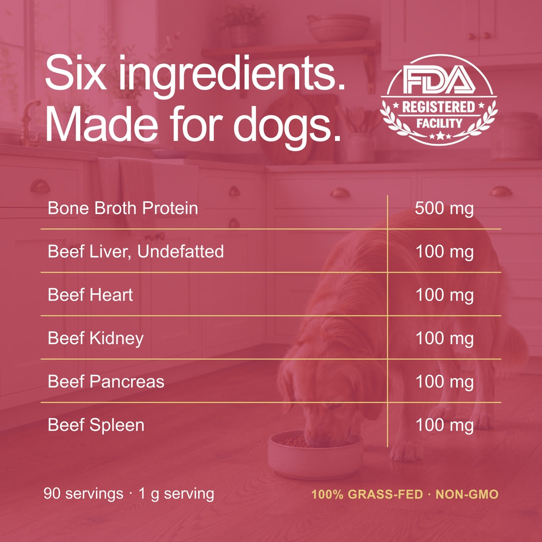 Beef Organ Bone Broth Meal Topper - 100% Grass-Fed - for Dogs