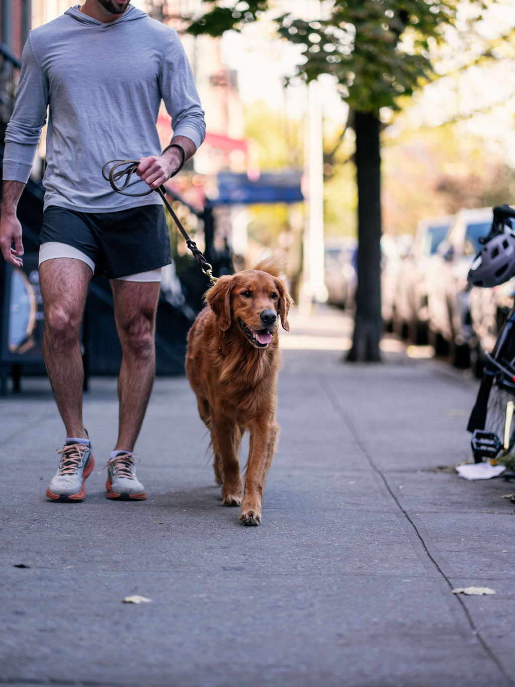 Benny enjoying a neighborhood walk with his person