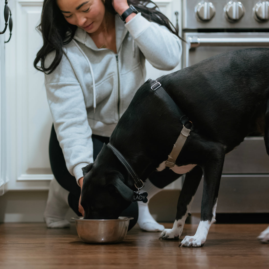 A real mealtime moment with a dog from the Brothhh creator community