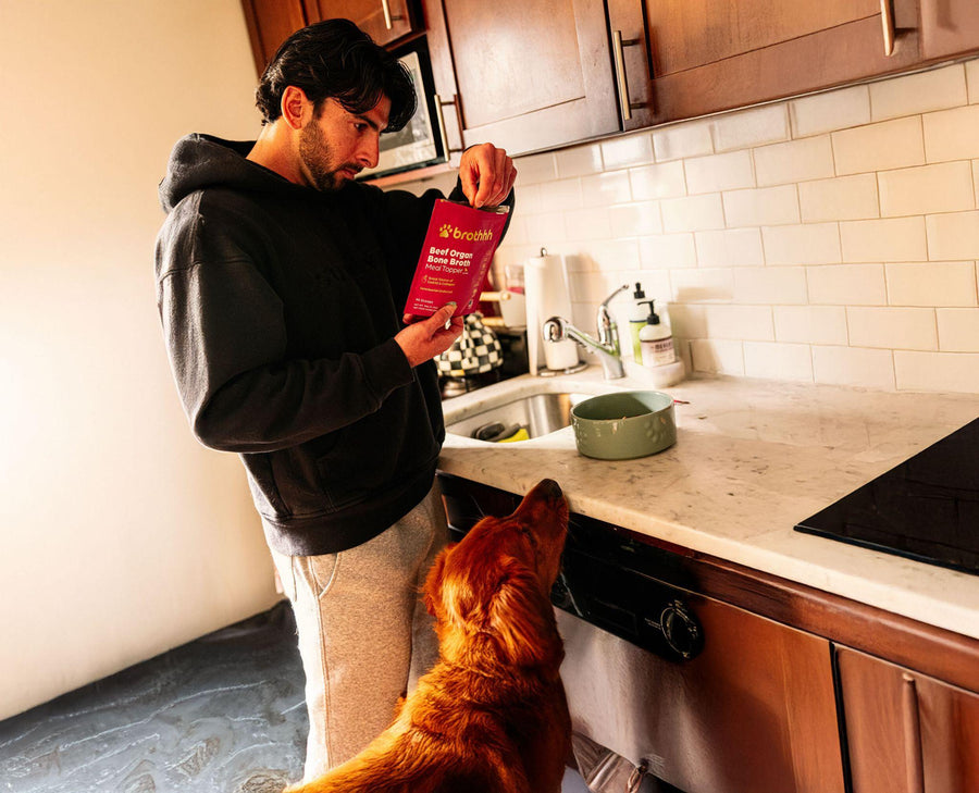 Human-Grade Ingredients in Dog Food: Why Quality and Transparency Matter