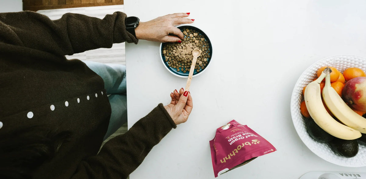 How to Use a Powdered Dog Food Topper: Three Ways to Serve It