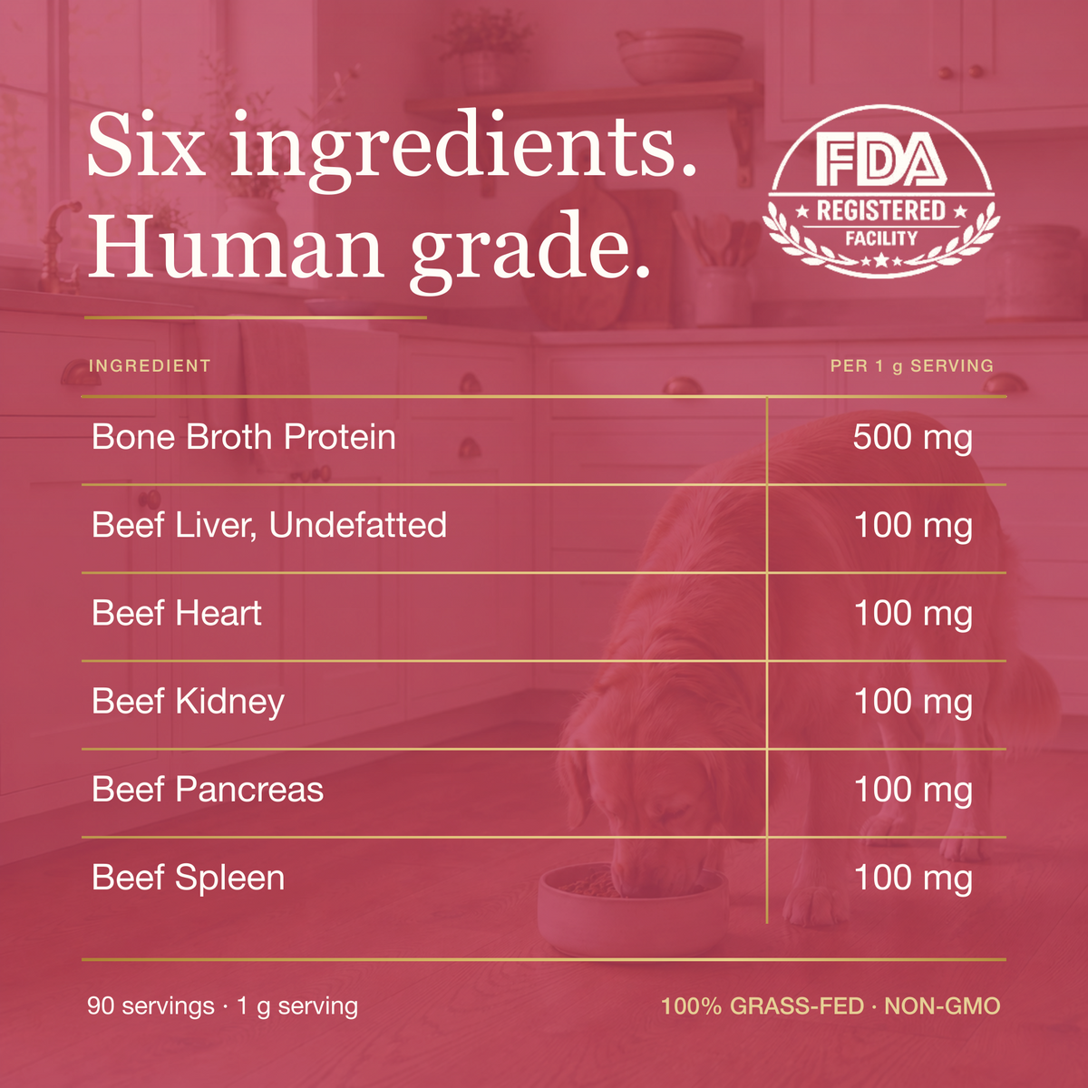 Beef Organ Bone Broth Meal Topper - 100% Grass-Fed - for Dogs