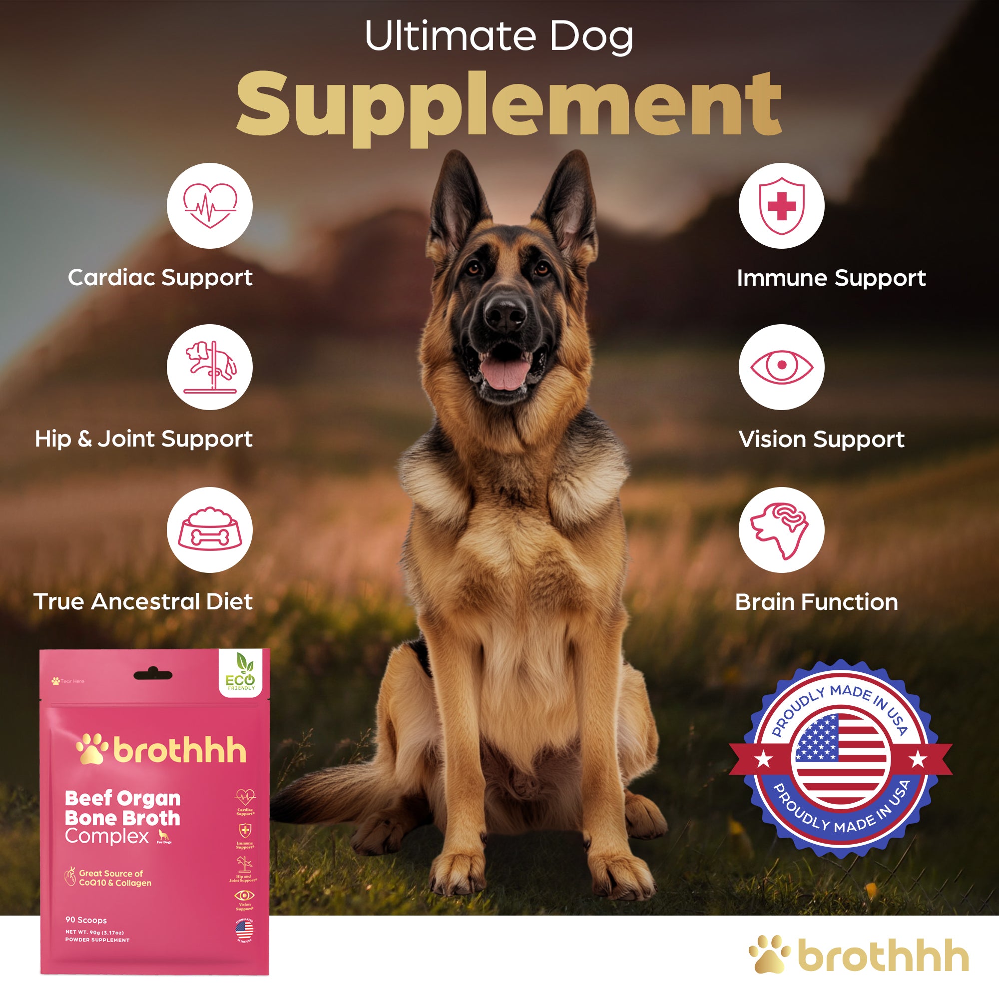 Meal Topper - Beef Organ Bone Broth Complex for Dogs