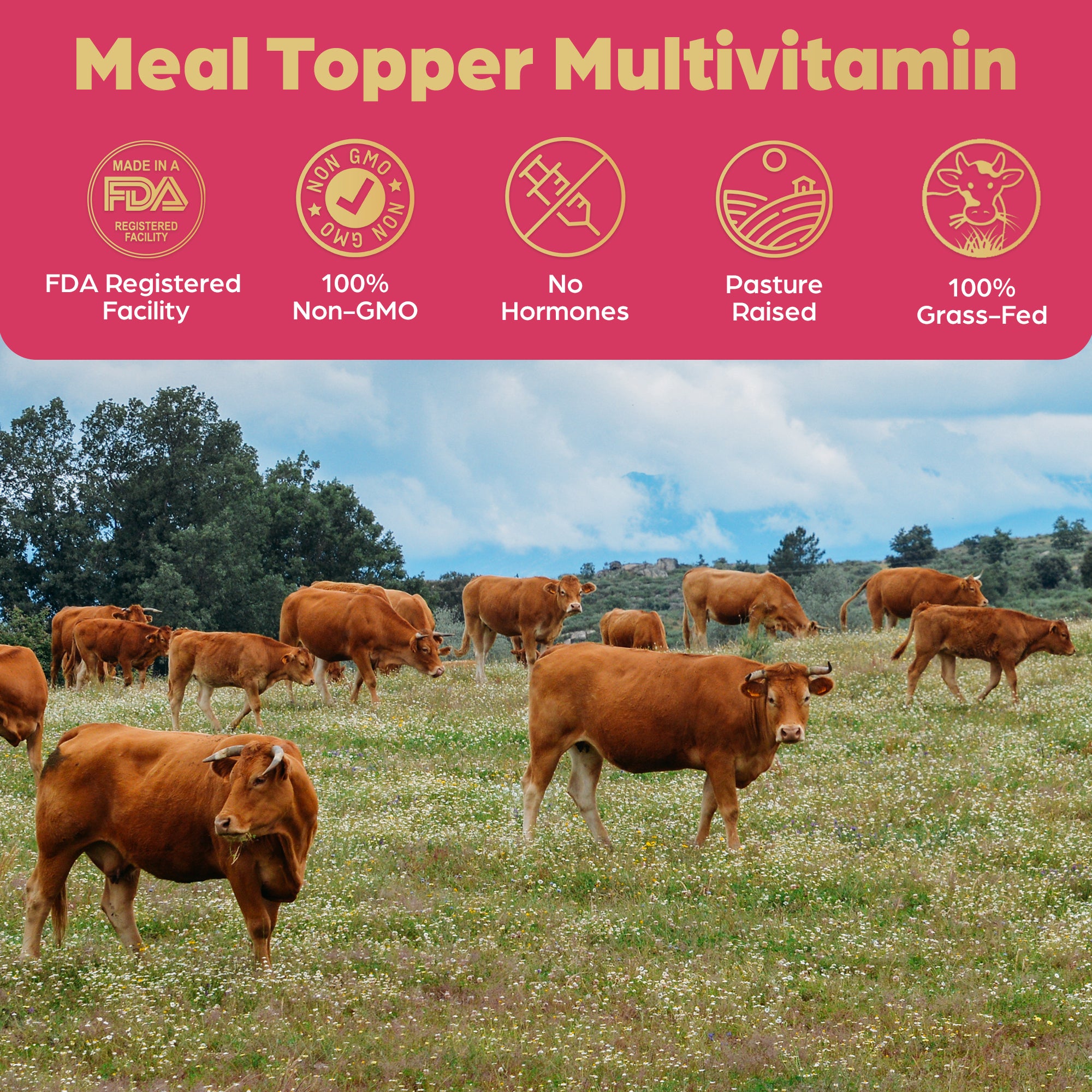 Meal-Topper - Beef Organ Bone Broth Complex for Dogs