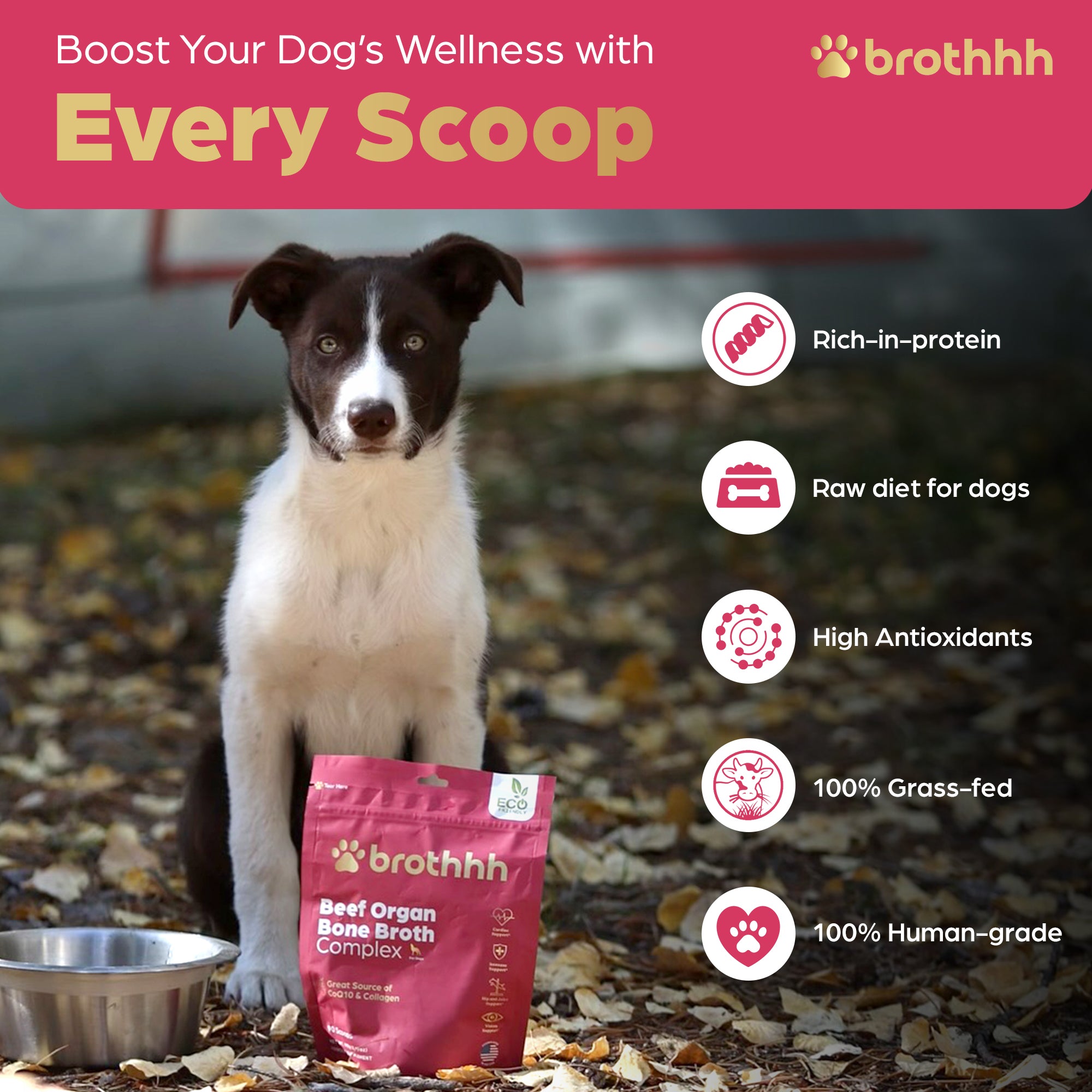 Meal-Topper - Beef Organ Bone Broth Complex for Dogs