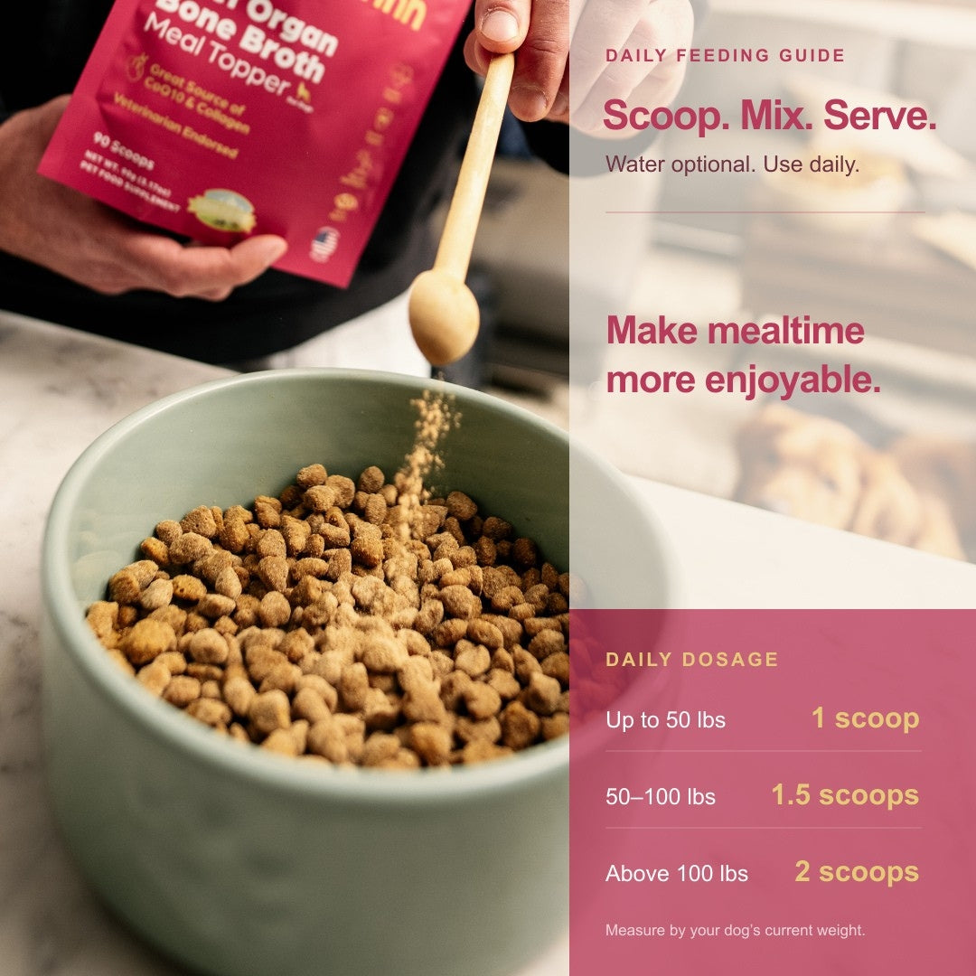 Beef Organ Bone Broth Meal Topper - 100% Grass-Fed - for Dogs