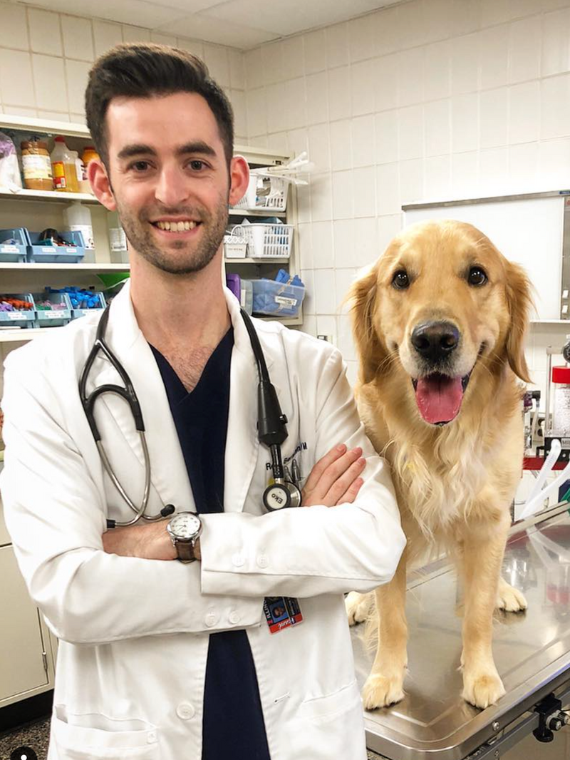 Dr. Ross Bernstein with a golden retriever
