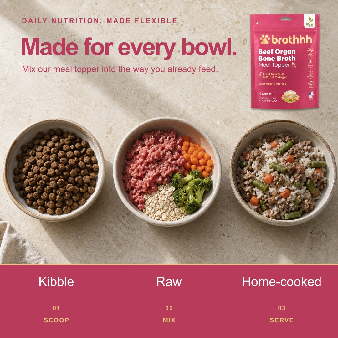 Beef Organ Bone Broth Meal Topper - 100% Grass-Fed - for Dogs
